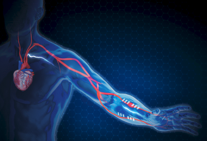 GIF representing an artistic, simplified rendering of the bioimpedance graphene tattoos, applied over the arteries on the underside of the wrist. 