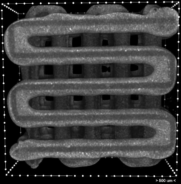 CT image of tissue chip with grooves for deposition of cells